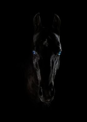 Horse portrait poster