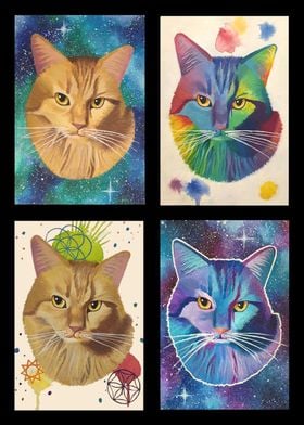 1 Kitty 4 Universes