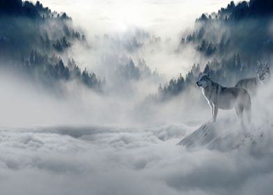 Wolves in Foggy Forest