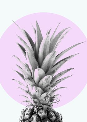 Photo Pineapple IV