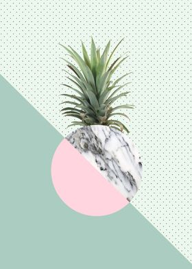 Pineapple composition I