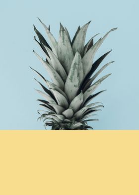 Pineapple composition VI