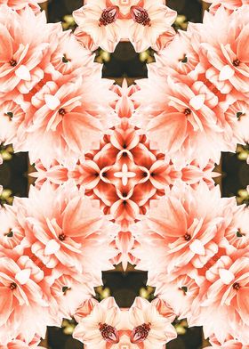 Blush Mandala