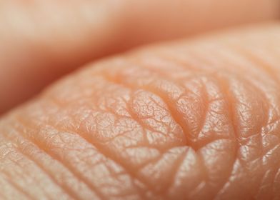 macro finger skin