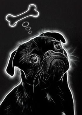 Daydreaming Pug