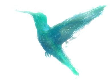 Turquoise Humming Bird