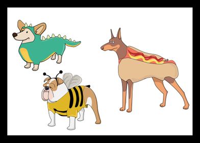 Animals in other Costumes