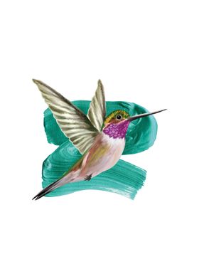 Hummingbird I 