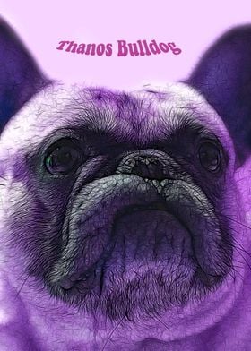 Thanos Bulldog