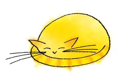 Curled Yellow Cat