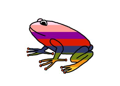 Rainbow Frog