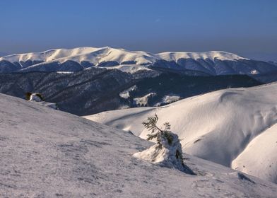 Karpaty mountain in winter