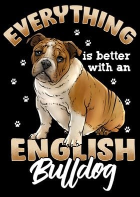 English Bulldog 