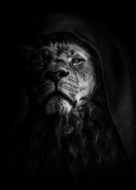 Dark Lion head poster 