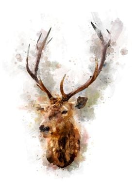 Watercolor Reindeer 