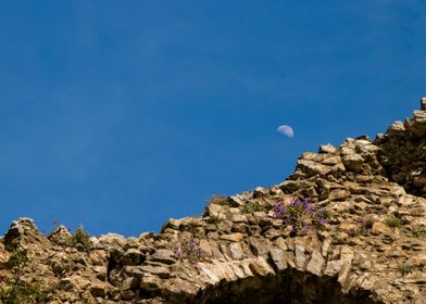 A Wall in ancient Ephesus