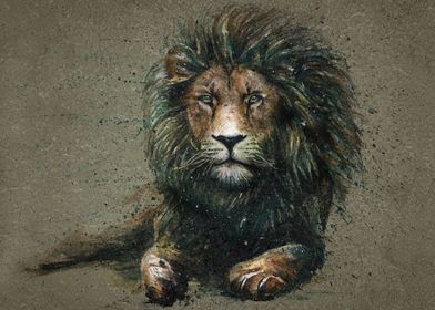 Lion background