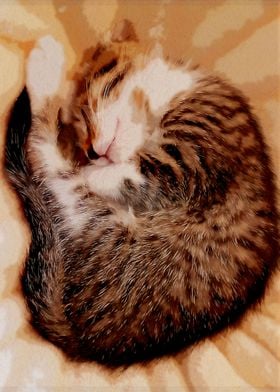 Sleeping Tiger Kitten