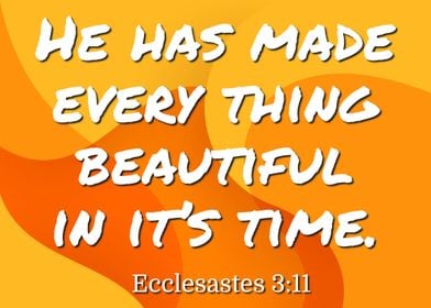 Bible Ecclesiastes 311