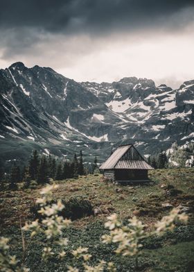 Hut in mountains