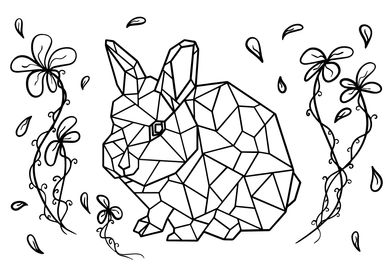 Geometric bunny