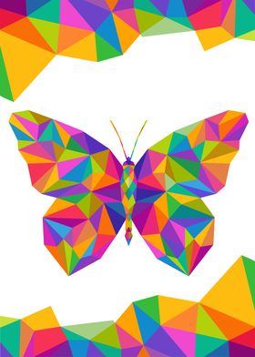 Butterfly Geometric Color