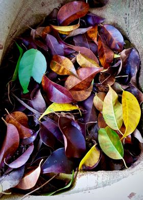 BOWL OF LEAVES