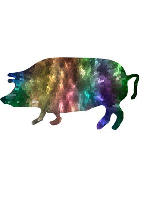 Colorful pig