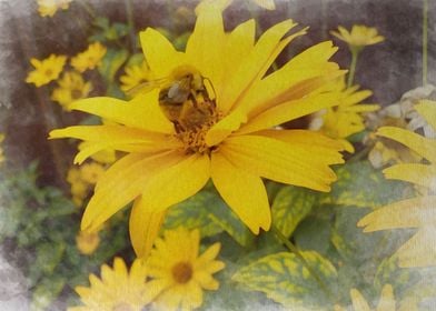 Bee on the flower