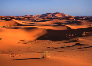 Just red sand dunes desert