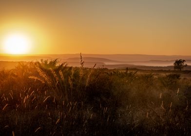 African Sunrise