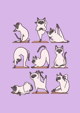 Siamese Cat Yoga