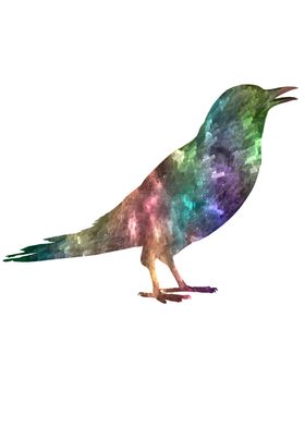 Space bird