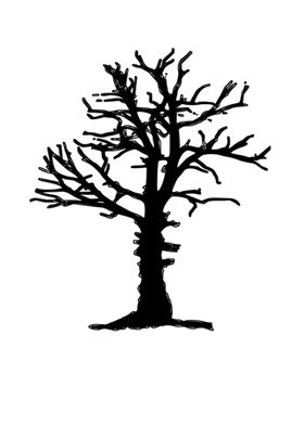 Black tree