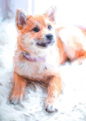 Cute Puppy Abstract