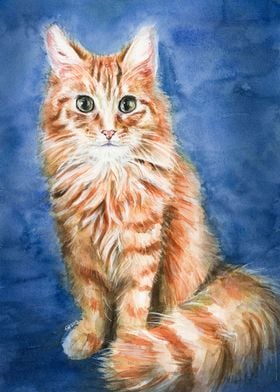 Rubens the Cat