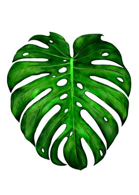 Monstera Painting