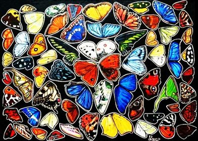 Butterflies