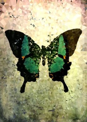 ButterflyAbs