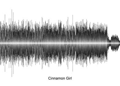 Neil Young Soundwave Art