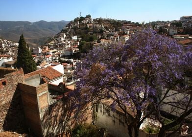 Panorama Taxco