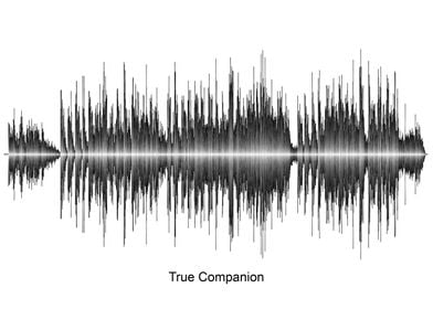 True Companion Soundwave