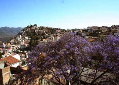 Panorama Taxco