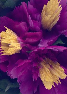 Pink pixel peony