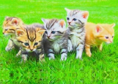 Fab Five Kitties