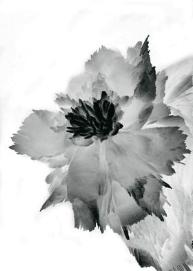 Pxel peony