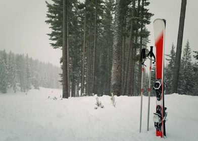 red ski