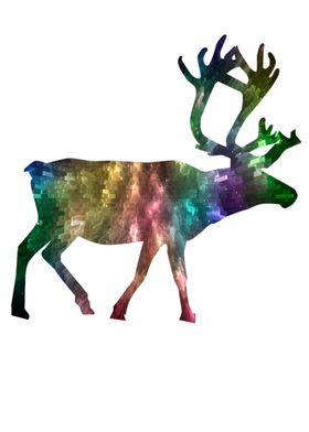 Beautiful deer