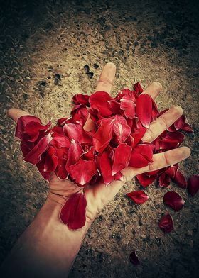 red rose petals