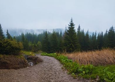 Foggy mountain landscape